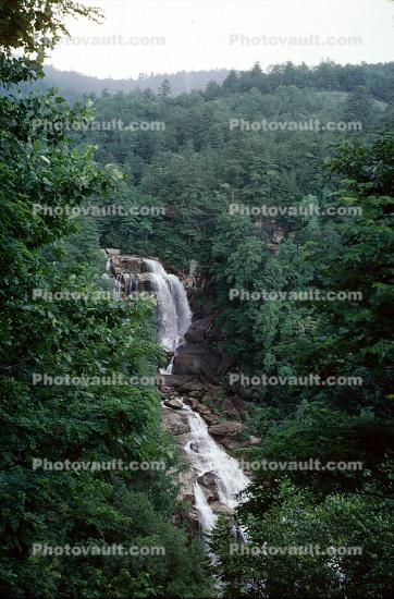Forest, Woodlands, Trees, waterfall, river, deciduous