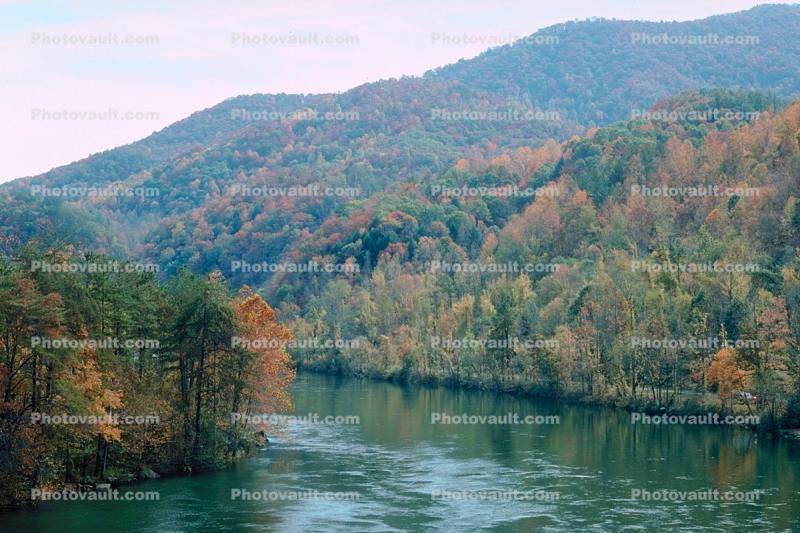 River, Forest, Woodlands, Hills, Autumn, deciduous