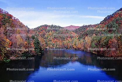 Woodland lake, Forest and Trees, Hills, River, Autumn, water, deciduous, forest