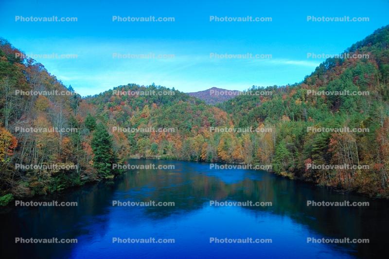 Fall Colors, Autumn, Trees, Vegetation, Flora, Plants, Colorful, Beautiful, Magical, Woods, Forest, Exterior, Outdoors, Outside, Bucolic, Rural, peaceful, River, Woodlands, Hills, deciduous