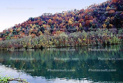 Reflecting Lake, Woodland, Forest, Trees, Hill, autumn, water, deciduous