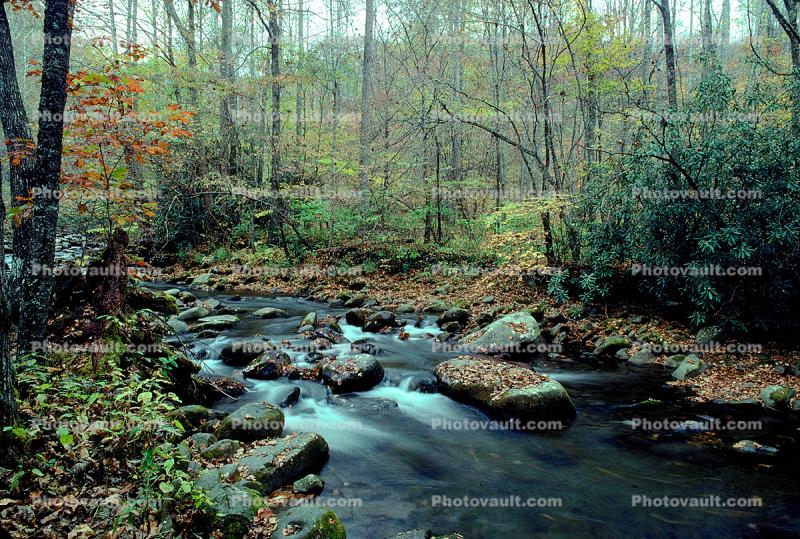 River, stream, rocks, boulders, forest, deciduous, bucolic