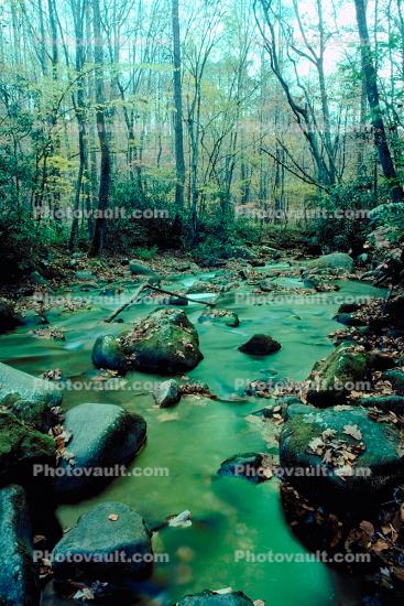 Green River, forest, trees, woodlands, rocks, deciduous, stream