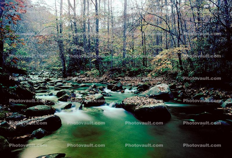 Green River, forest, trees, woodlands, rocks, deciduous