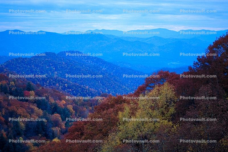 Woodland, Forest, Trees, Hills, Mountains, Valley, autumn, deciduous