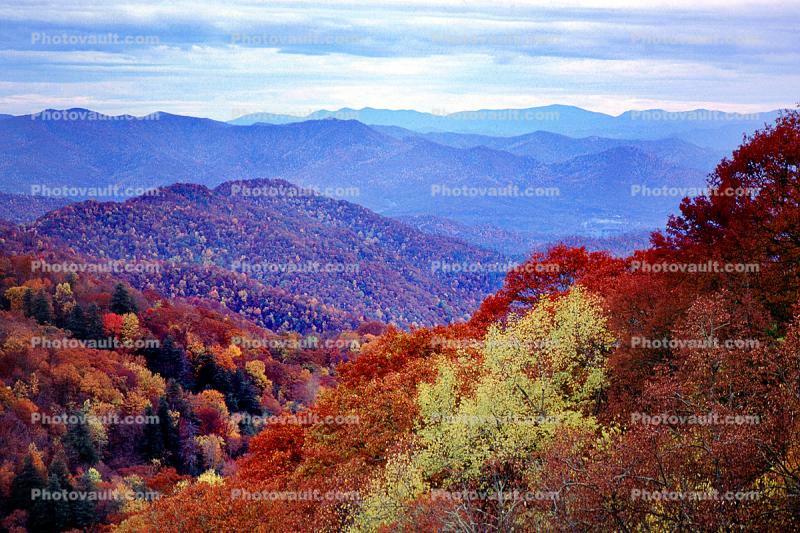 Fall Colors, mountains, valley, autumn