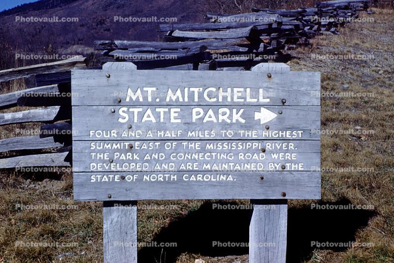 Mount Mitchell State Park, deciduous, forest, Black Mountains, Appalachian Mountains