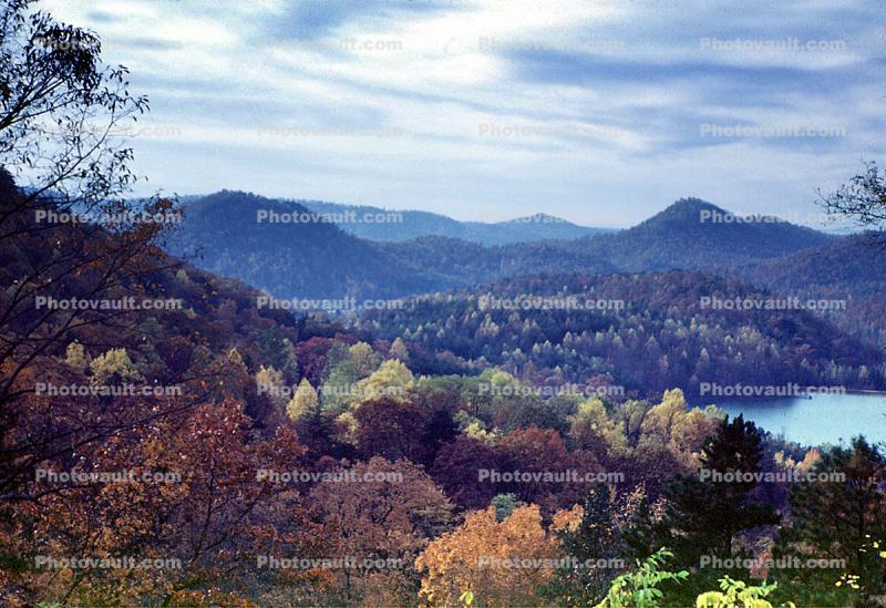 Woodland, Forest, Trees, Hills, Mountains, Valley, Lake, autumn, water, deciduous, woodlands