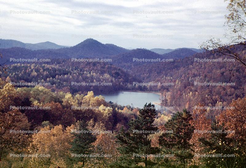 Woodland, Forest, Trees, Hills, Mountains, Valley, Lake, autumn, water, deciduous, woodlands