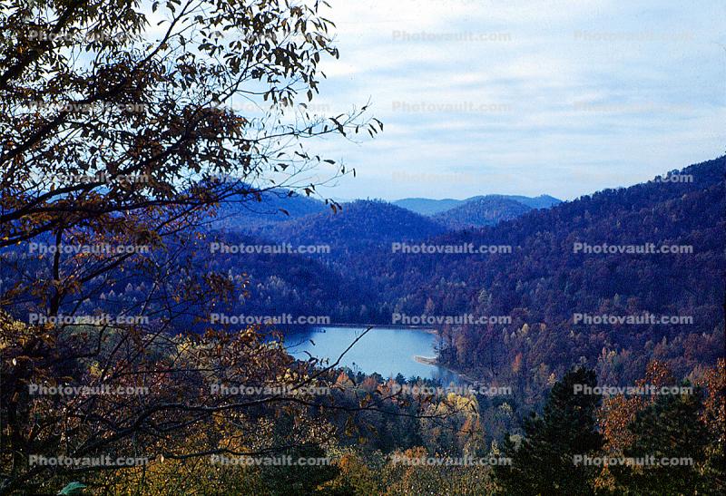 River, forest, trees, lake, deciduous, woodlands, autumn