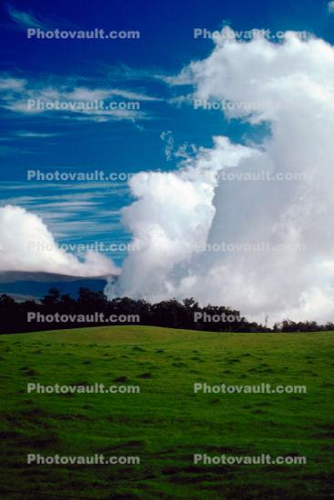 Clouds Rising, field