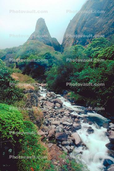 river, rocks, jungle, rainforest, whitewater, rapids