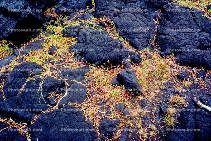 Lava, the Big Island