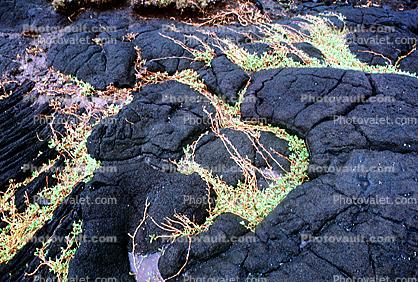 Lava, the Big Island