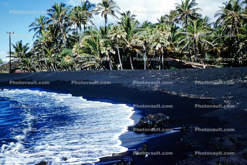Kalapana Black Sand Beach, Palm Trees