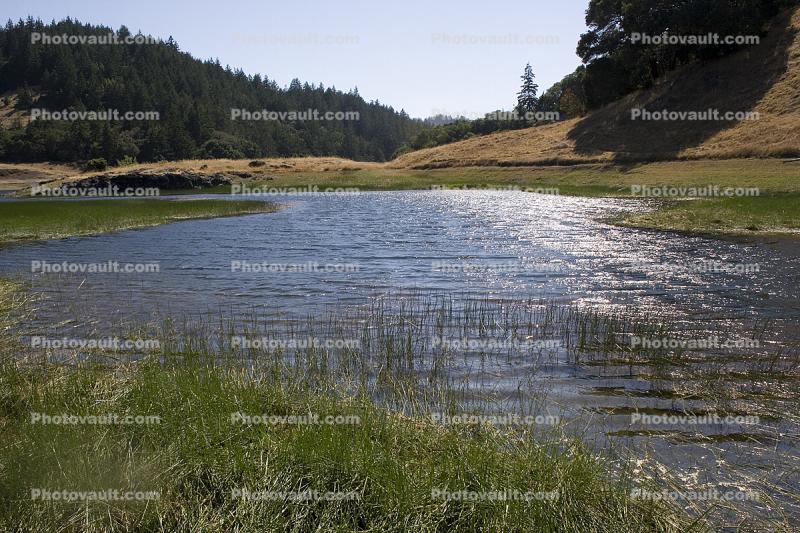 Lake, Reservoir, Pond, Water, Marin County