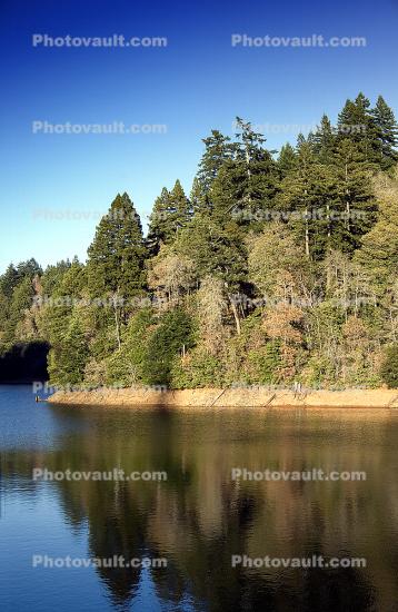 Alpine Lake Reservoir, Marin County, water