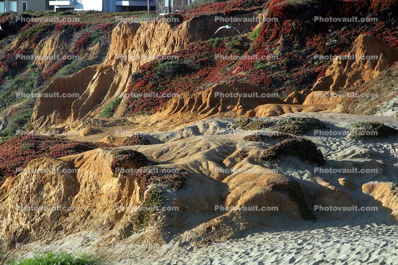 Coastal Erosion, shore, Dillon Beach, Marin County