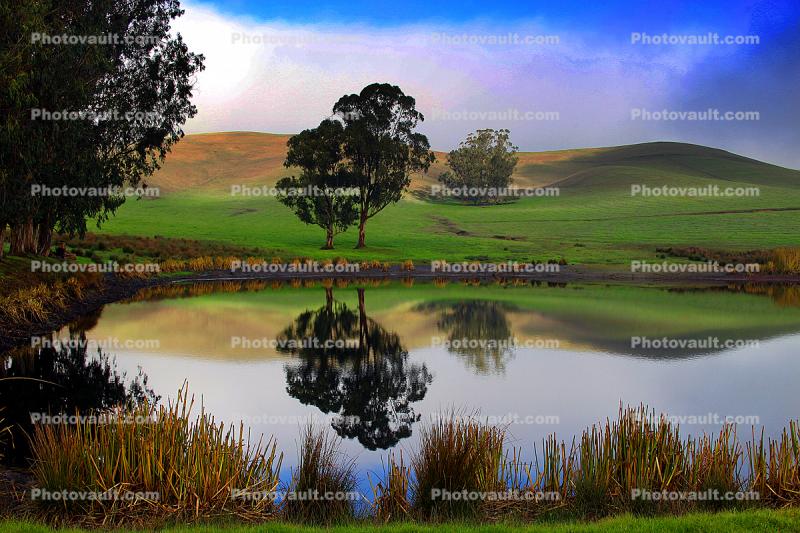Two-Rock Landscape, Trees, Hills, Pond, Reflection, Reservoir, Lake, Water