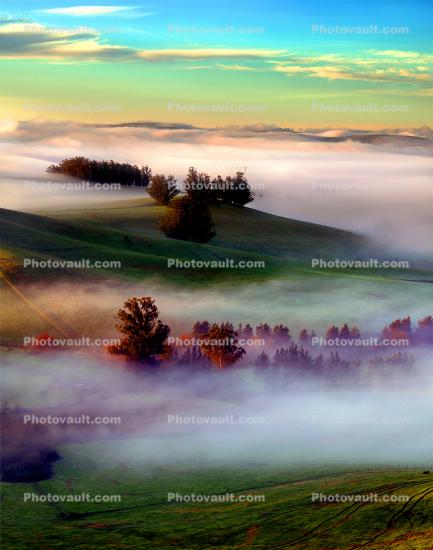 Early Morning Fog over the Valley, Hills, Trees, cottagecore