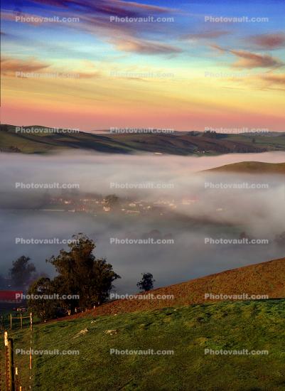 Hills, Trees, Fog, Clouds, Morning, Eucalyptus Trees, Mountains, clouds