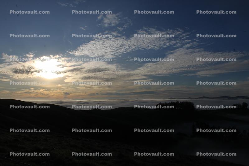 Hills, Trees, Fog, Clouds, Morning, Two-Rock, Sonoma County, Alto Cumulus Clouds