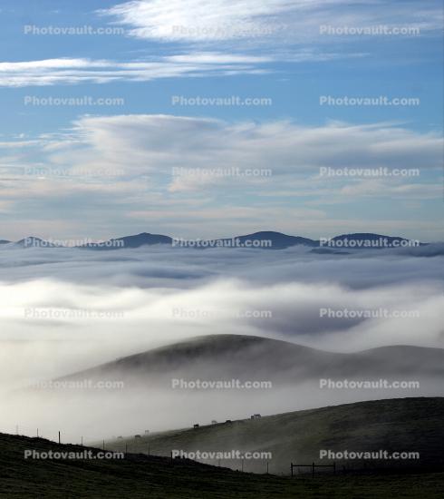 Hills, Fog, Clouds, Morning