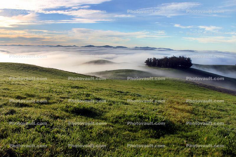 Hills, Trees, Fog, Clouds, Morning
