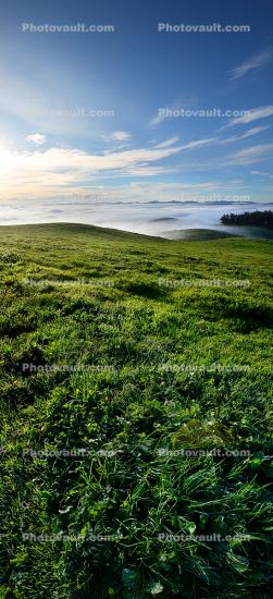 Hills, Fog, Clouds, Morning, Fields, grass