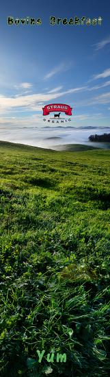 Hills, Fog, Clouds, Morning, Fields, grass, bookmark