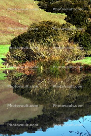 Pond, Hills, Trees, Reflection, Lake, Reservoir, Water, fields