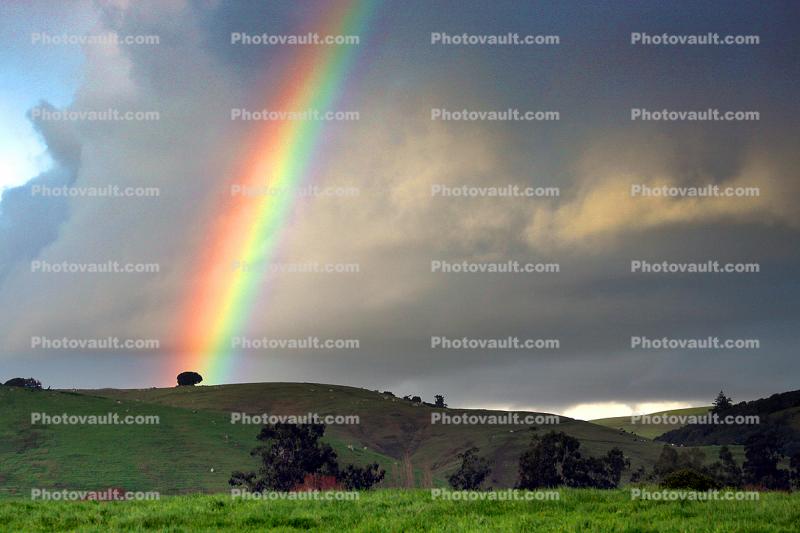 Rainbow, Hills, Trees, Clouds, Two-Rock, Sonoma County