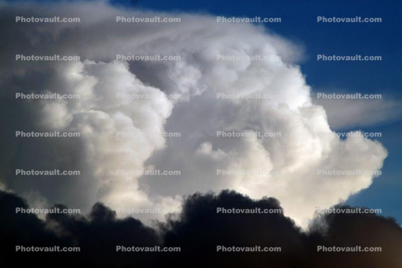 Cumulonimbus Cloud, Cumulus nimbus