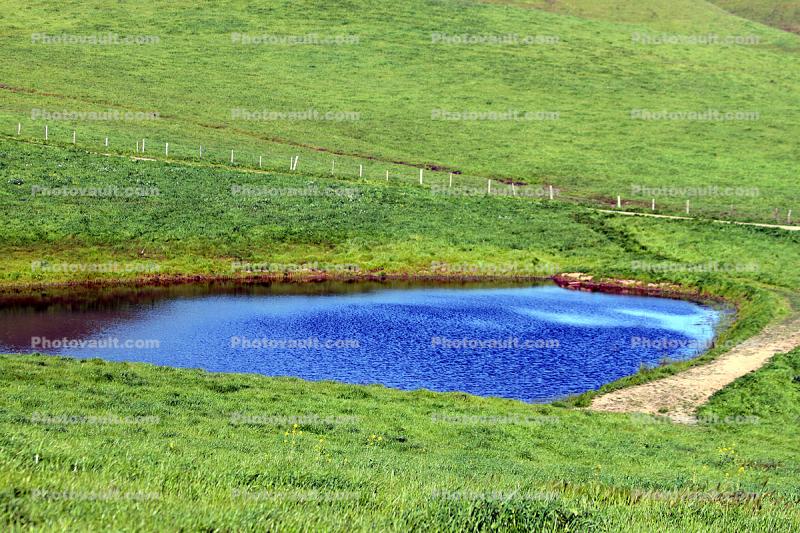 Pond, Reservoir, Lake, fence, Trees, Grass Field, Hills, water