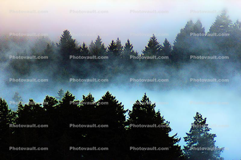 Fog under Mount Tamalpais