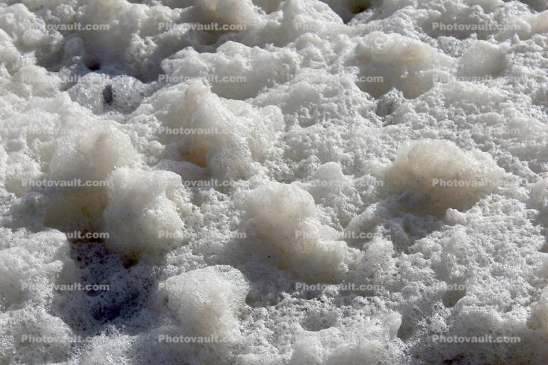 Wiggly Jiggly Foam, from the Pacific Ocean, Russian River mouth, Sonoma County