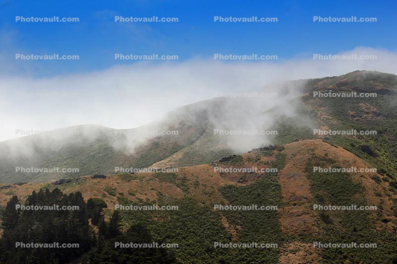 Fog, Hills, Marin County
