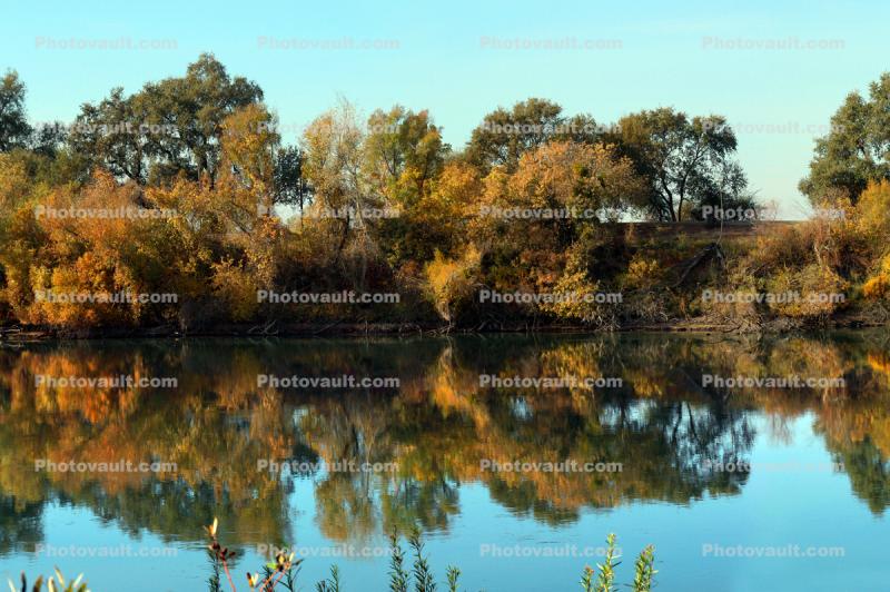 fall colors, autumn, Sacramento River, water, trees, reflection