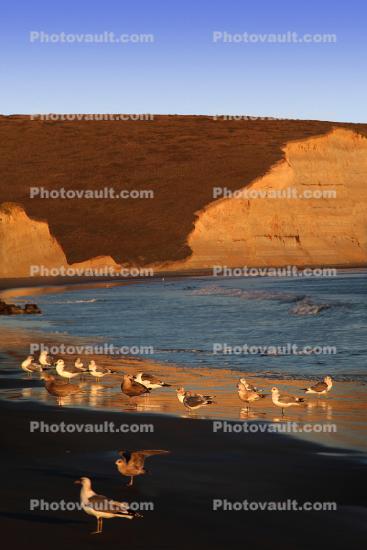 cliffs, Drakes Bay, beach, sand, wet sand, texture, reflection