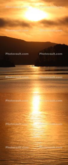 Golden Sunset, Tomales Bay, Marin County