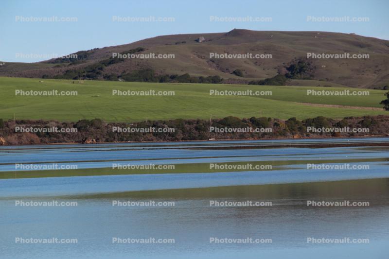 Tomales Bay, Marin County, PCH, Pacific Coast Highway 1