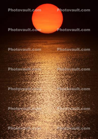 Ball of the Golden Sun, Sun Reflecting in Bolinas Lagoon, Sunset