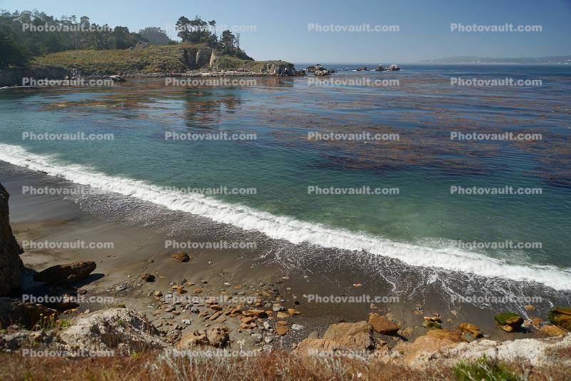 Point Lobos Beach, Kelp, Ocean, Shoreline Cliffs, Coastline, Pacific Ocean