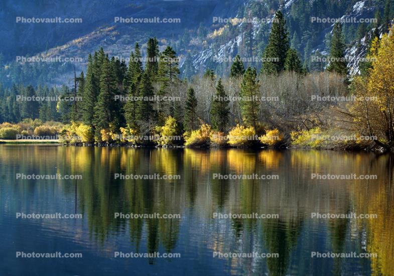 June Lake Loop, Grant Lake, Reflections, Mountains, Trees, Autumn, Tranquility