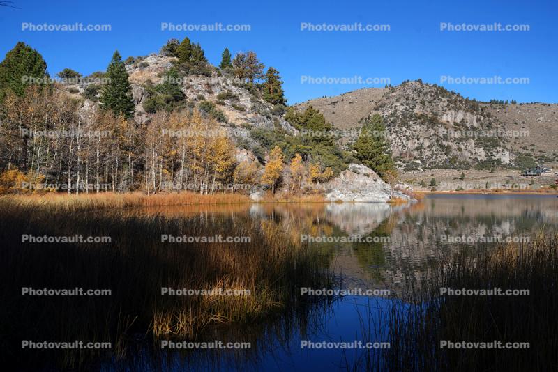 June Lake, Loop, Reflections, Mountains, Trees, Autumn