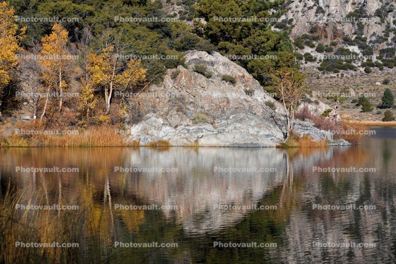 Reflecting Rock, Boulder, June Lake, Loop, Reflections, Mountains, Trees, Autumn