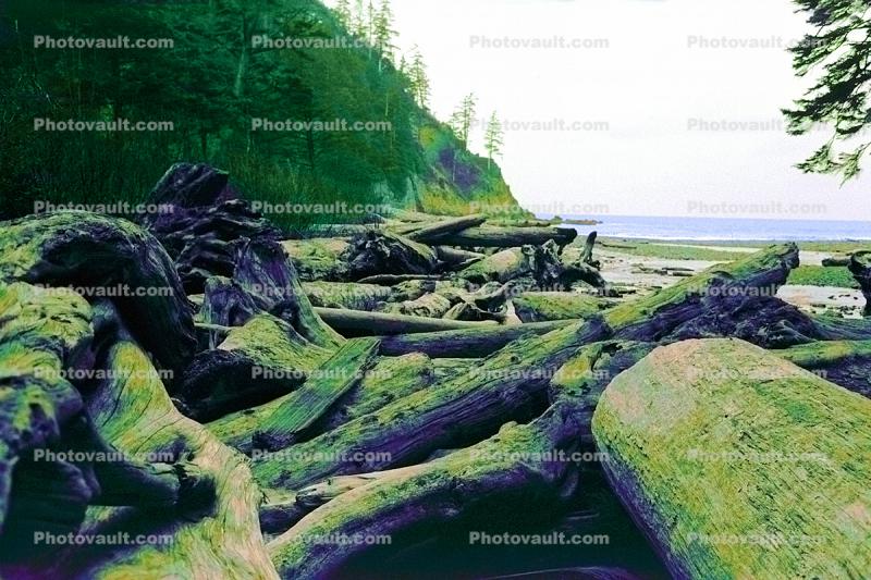 Driftwood, Beach, flotsam, jetsam, Coastline, coastal, Pacific Ocean, coast, shoreline