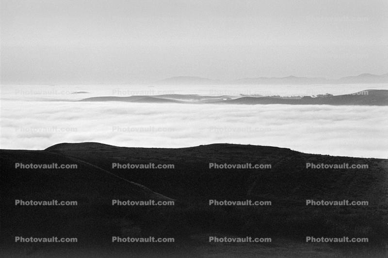 fog over the coastal range