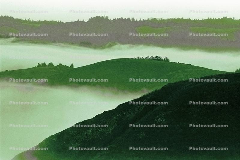 fog over the coastal range, Austin Creek State Park