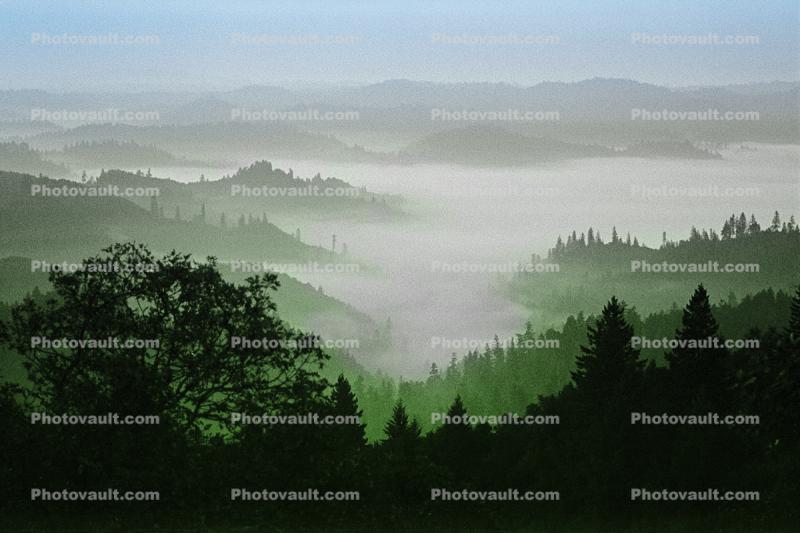 fog over the coastal range, Austin Creek State Park
